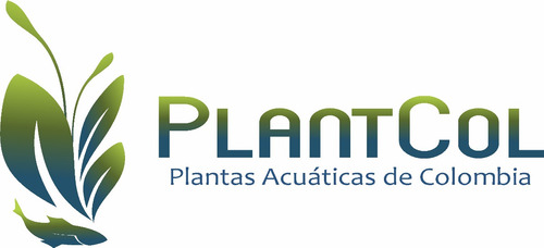 1020 L/h Filtro Cascada Dophin H800 Acuario Silencioso