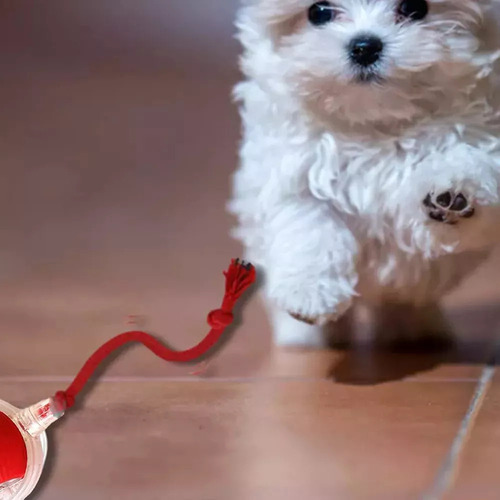 . Juguete Electrónico Interactivo Para Gatos Con 2 Bolas En