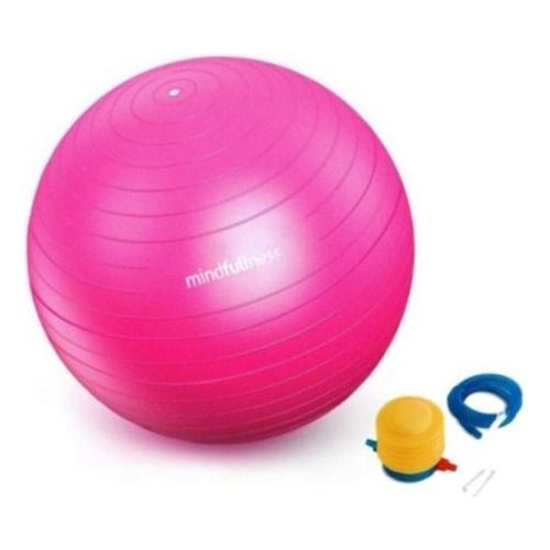 Balon Yoga Pilates Gym Gimnasia Fisioterapia Embarazo 65cm