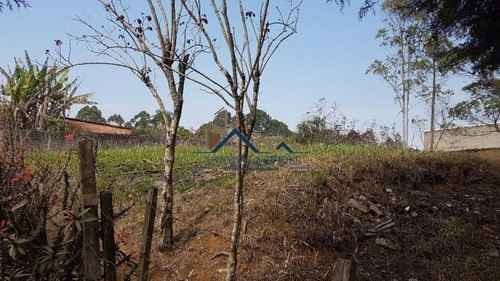 Oportunidade! Área, Na Beira Do Km 40 Da Raposo! - 92