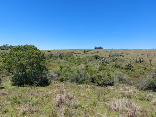 88hás De Campo Serrano Sierras Del Carapé