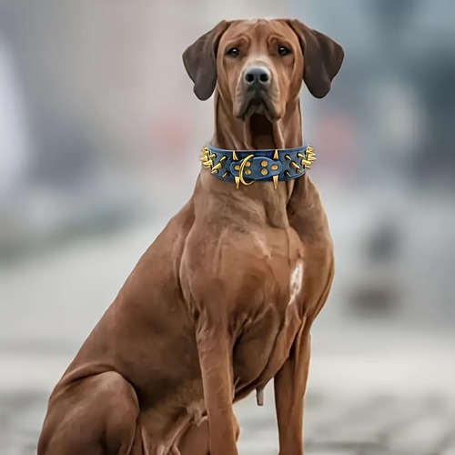 Cwcwcollar Retro The Spiked Con Tachuelas Para Perros, Durad