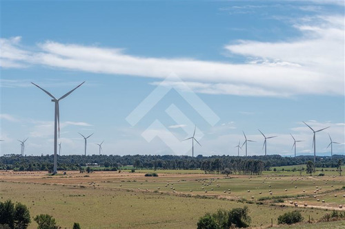 Imagen 8 de 19 de Sitio En Venta En Brisas De Loncotoro