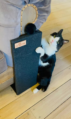 Rascador Gatos Para Sillon Esquinero Con Juguete Gris Oscuro