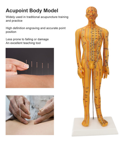 Maniquí Didáctico Modelo De Acupuntura Para Cuerpo Humano De