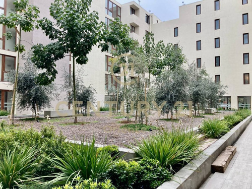 Imagen 12 de 16 de Venta Inmobiliaria, Sin Comisión Comprador