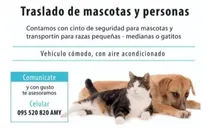 Comprar Traslado De Personas Y Mascotas (@traslados.mascotas.uy)