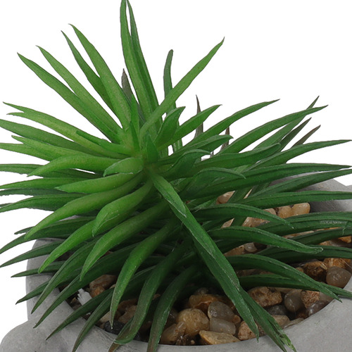 Decoração De Casa: Plantas Artificiais Em Vasos, Detalhes Ví