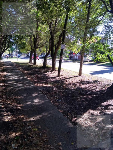 Imagen 13 de 13 de Terreno - Moron Sur