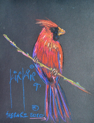 Cardenal Rojo Pajaro Pastel/canson Original Firmado Kinkin