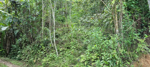 Terreno Paineiras, Lumiar , Nova Friburgo
