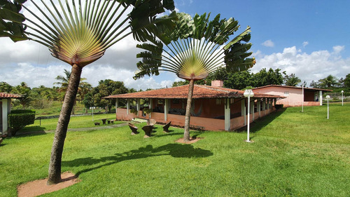 Granja Em Ceará-mirim/rn, Apenas 38km De Natal. Rio Perene