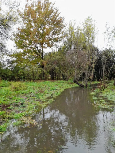Parcela En Venta En Ñiquén