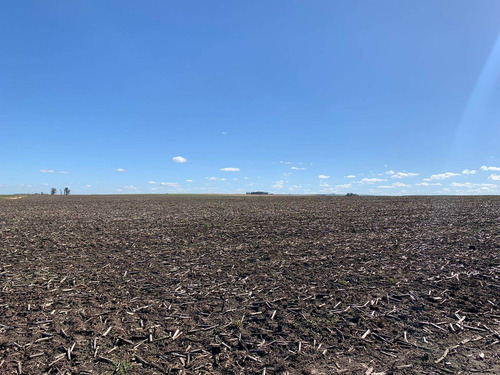 Imagen 4 de 6 de Campo En Venta De 2000000m2 Ubicado En Lobería