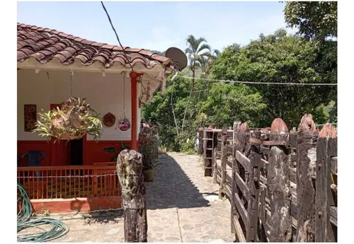 Vendo Finca De 30 Cuadras En Damasco Para Ganadería Cerca La Pintada