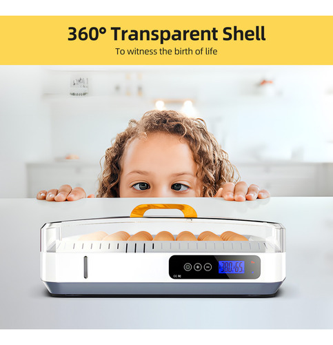 Incubadora Brooders Temperature Coop Con Pantalla De Pollo Y