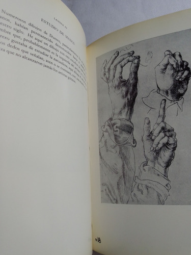 Alberto Durero, Acuarelas Y Dibujos (Usado)