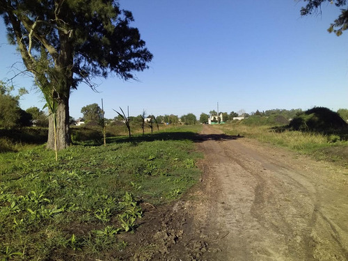 Terreno En Venta - 337 Mts2 - Melchor Romero