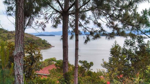 Imagem 16 de 30 de Terreno Residencial À Venda, Sambaqui, Florianópolis. - Te0407