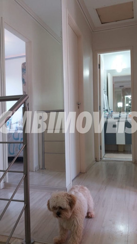 Imagem 23 de 30 de Casa Condomínio Fechado À Venda 3 Dormitórios No Bairro Parque Imperador Em Campinas - Cf01206 - 68160702