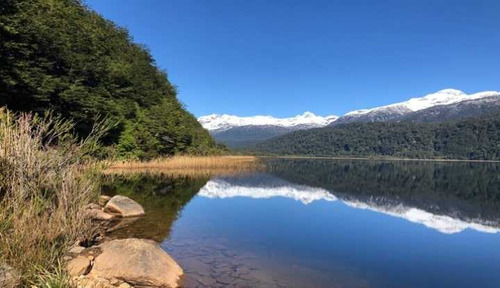 Fundo Lago Las Torres 620 Hás (66824)