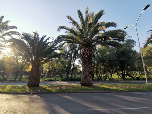 Vive En Un Depto Nuevo 1d 1d, Con Bodega Metro Rondizzoni