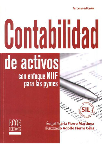 Libro Contabilidad De Activos De Ángel María Fierro Martínez