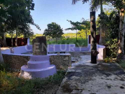 Rancho Tipo Hacienda De 36 Has En Telchac Pueblo Con Cenote. A 42 Kms De Mérida