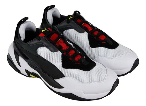 puma spider puma spider