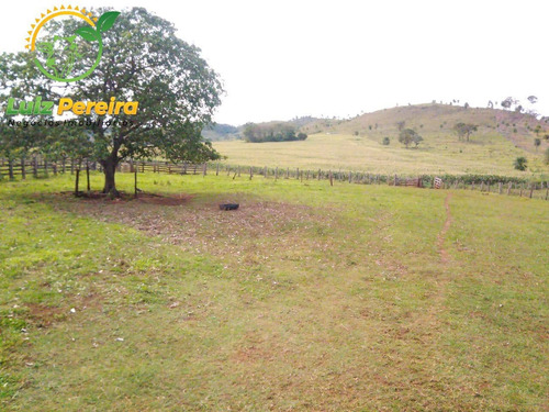 Imagem 9 de 9 de Fazenda À Venda Em Antonio João - Ms - De 818 Hectares (dupla Aptidão) - 1749