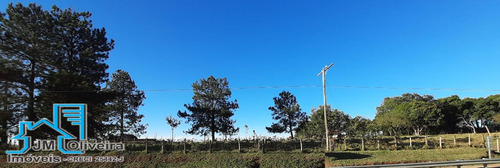 Imagem 1 de 8 de Vendo Área Frente Para Raposo Tavares Itapetininga Sp - 454