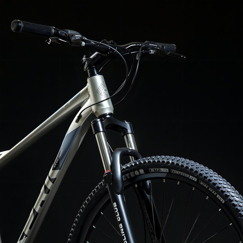 Mountain Bike Spirit R29 21v Color Plateado Tamaño Del Cuadro M (17.5)