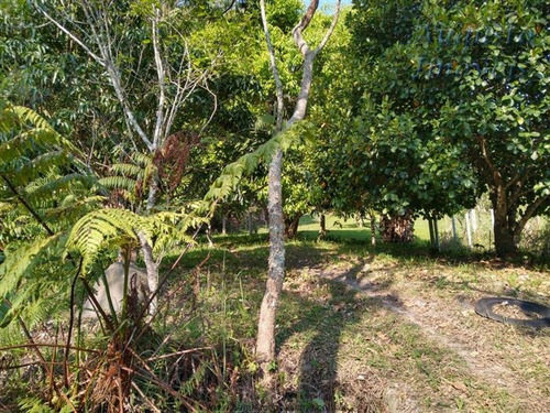 Chácaras À Venda Em Atibaia/sp - Compre O Seu Chácaras Aqui! - 1471901