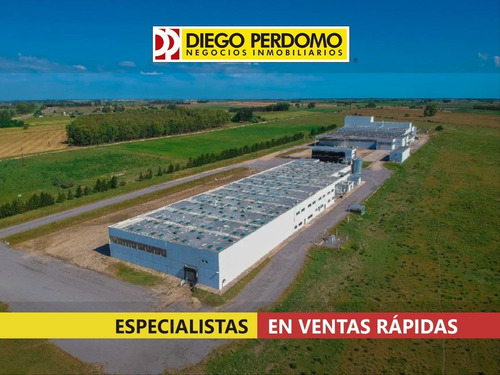 Local Industrial De 12.660m² Cubiertos En Venta, San José