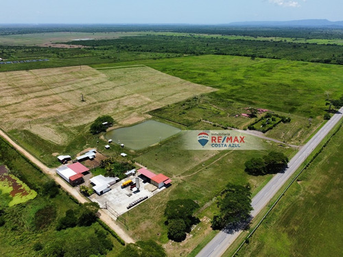 En Venta Finca De 45 Hectáreas De Terreno Plano, A Orilla De Carretera En El Alto, Yaracal.