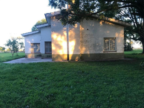 Imagen 6 de 30 de Campo De 173 Hectáreas - Gral. Las Heras - Buenos Aires
