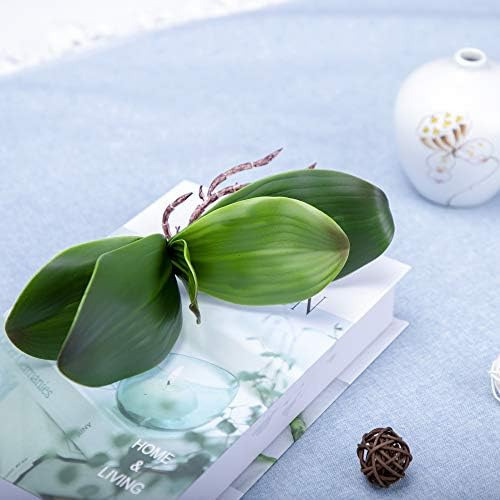 Hojas De Orquídea Fnize, 4 Pies Tallos De Phalaenopsis