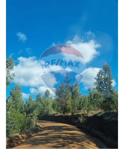 Venta De Parcela En Hualañe