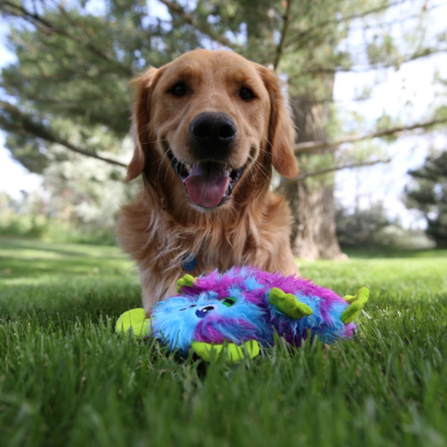 Brinquedo Kong Frizzles Monstrinho Com Apito Para Cães Cor Azul Desenho Razzle