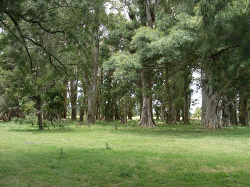 Imagen 28 de 30 de La Alborada Club De Campo - Jeppener - Lote De 1.000 M2