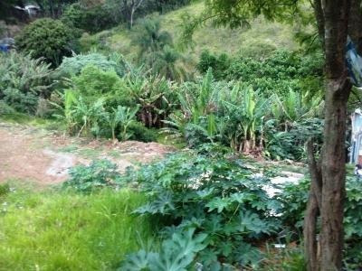 Imagem 7 de 10 de Ref.: 15820 - Area Em Barueri Para Venda - 15820