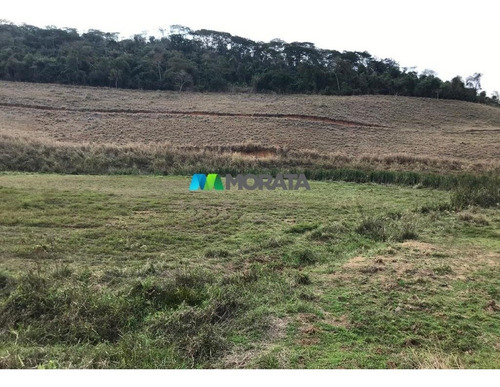 Imagem 7 de 15 de Fazenda - Zona Rural - Ref: 5241 - V-mta5241