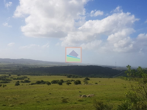 Imagen 6 de 13 de Chacras 5 Hás En Fraccionamiento Altos De Aiguá