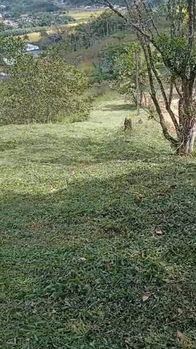 Lindo Terreno Com 2.071m² No Centro De Massaranduba