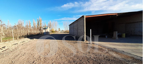 Imagen 17 de 30 de Galpón 1500 M2 En Allen