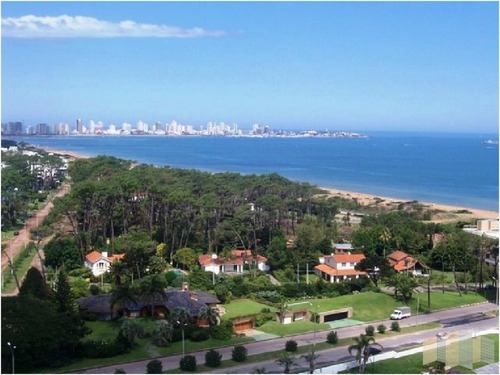 Imagen 20 de 30 de Apartamento En Punta Del Este, Mansa