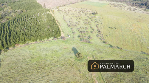 Parcelas En Venta En Ninhue Región De Ñuble
