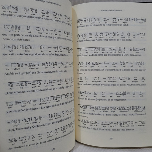 Imagen 8 de 10 de El Libro Egipcio De Los Muertos Papiro De Ani Wallis Budge