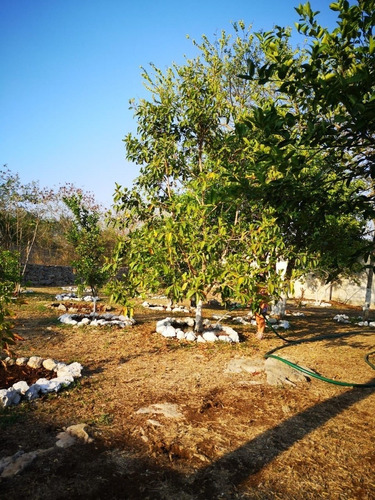 Terreno En Chi Chi Suárez 1,000m2 Propiedad Privada