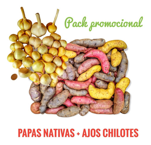 (5 Kg) Papas Nativas Chilotas + Ajos Chilotes (1 Kg)